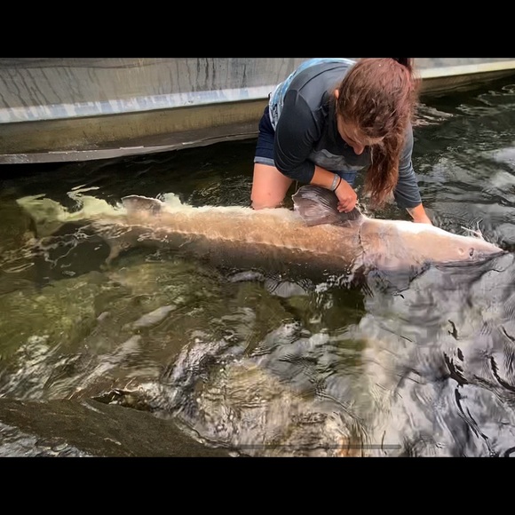 Meet your Posher, Nicki - Picture 1 of 1